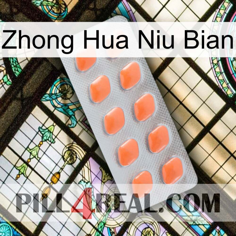 Zhong Hua Niu Bian 26